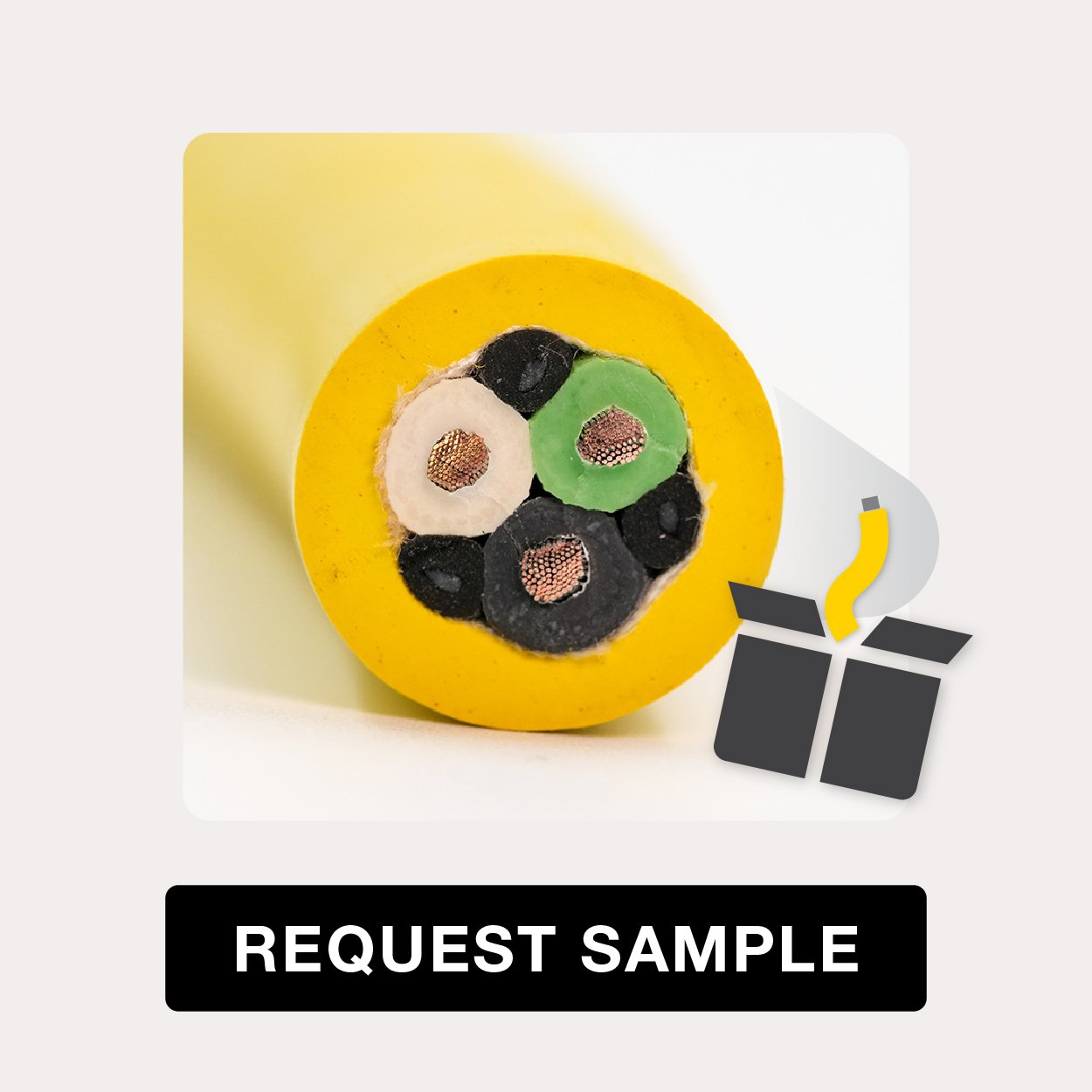 TPC-Super Trex-Landing Page Graphics-04-1 TPC-Super Trex-Landing Page Graphics-04-1