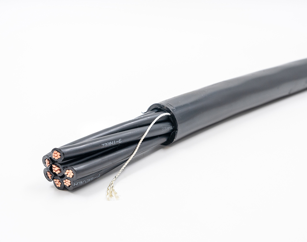 CP100 3QV_Web