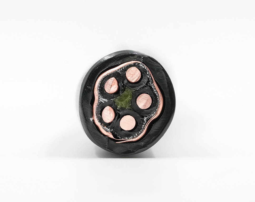 CP200 Macro_Web