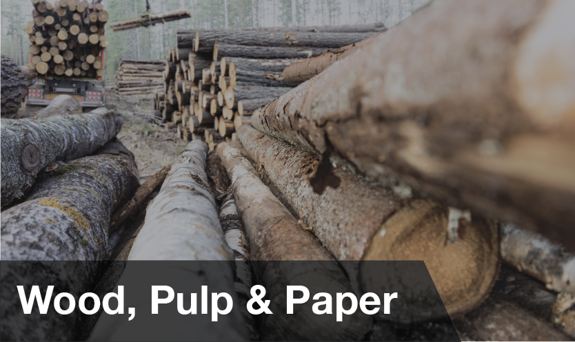 wood-pulp-paper
